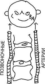 Иллюстрация к книге — Большая книга упражнений для спины. Комплекс "Умный позвоночник" [_125.jpg]