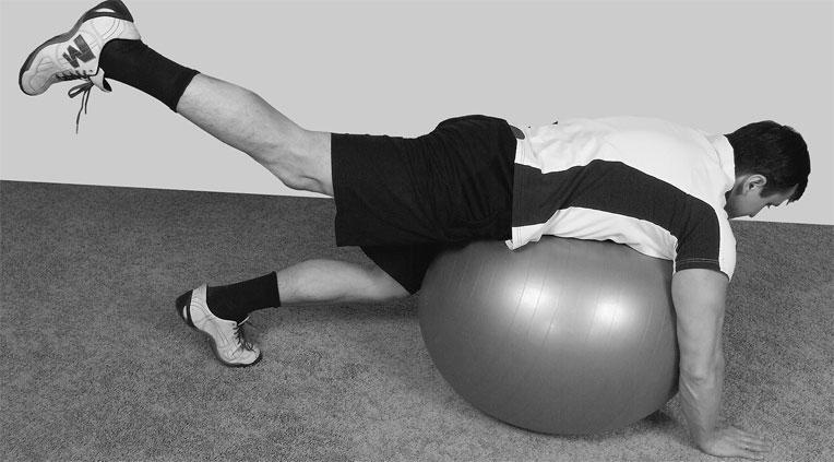 Иллюстрация к книге — Большая книга упражнений для спины. Комплекс "Умный позвоночник" [_164.jpg]