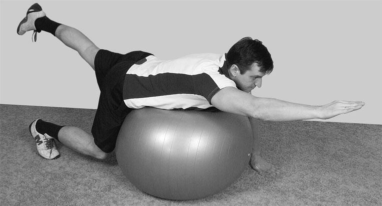 Иллюстрация к книге — Большая книга упражнений для спины. Комплекс "Умный позвоночник" [_166.jpg]