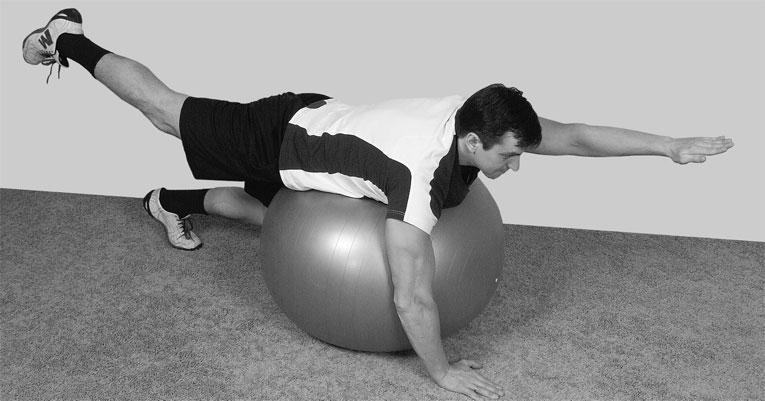 Иллюстрация к книге — Большая книга упражнений для спины. Комплекс "Умный позвоночник" [_167.jpg]