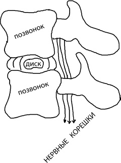 Иллюстрация к книге — Большая книга упражнений для спины. Комплекс "Умный позвоночник" [_4.jpg]