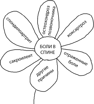 Иллюстрация к книге — Большая книга упражнений для спины. Комплекс "Умный позвоночник" [_5.jpg]