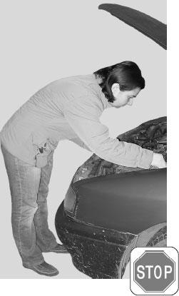 Иллюстрация к книге — Большая книга упражнений для спины. Комплекс "Умный позвоночник" [_73.jpg]