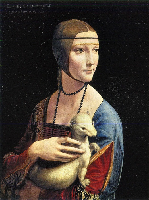 Иллюстрация к книге — Мозг Леонардо. Постигая гений Да Винчи [i_004.jpg]