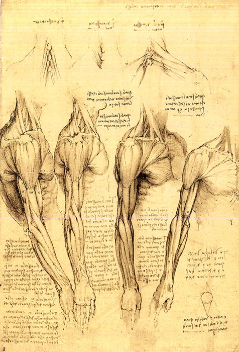 Иллюстрация к книге — Мозг Леонардо. Постигая гений Да Винчи [i_006.jpg]