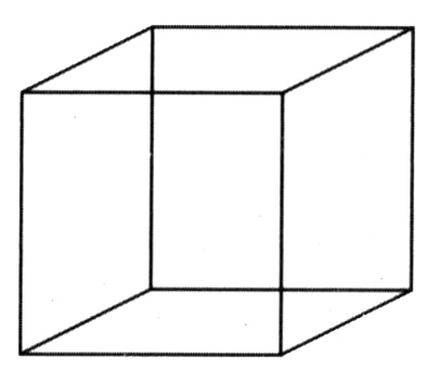 Иллюстрация к книге — Мозг Леонардо. Постигая гений Да Винчи [i_011.jpg]