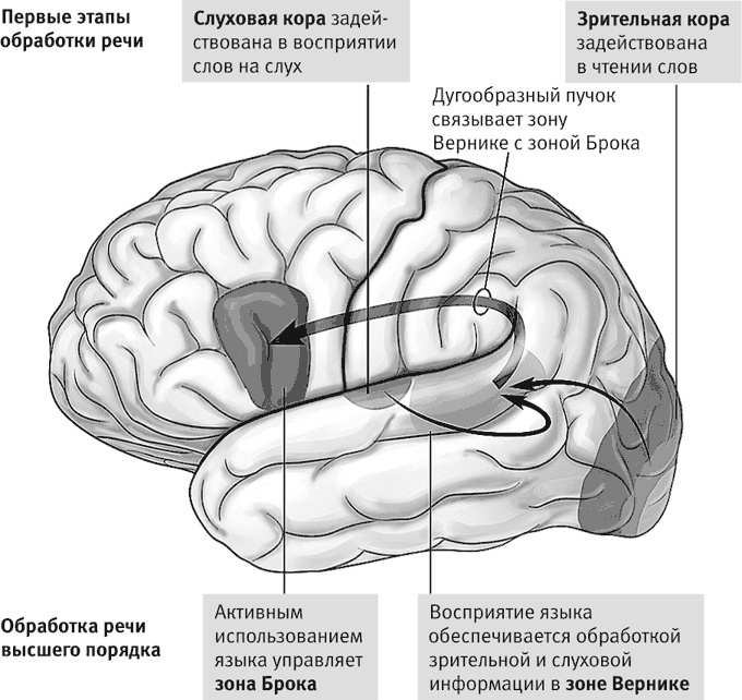 Иллюстрация к книге — Век самопознания. Поиски бессознательного в искусстве и науке с начала XX века до наших дней [i_007.jpg]