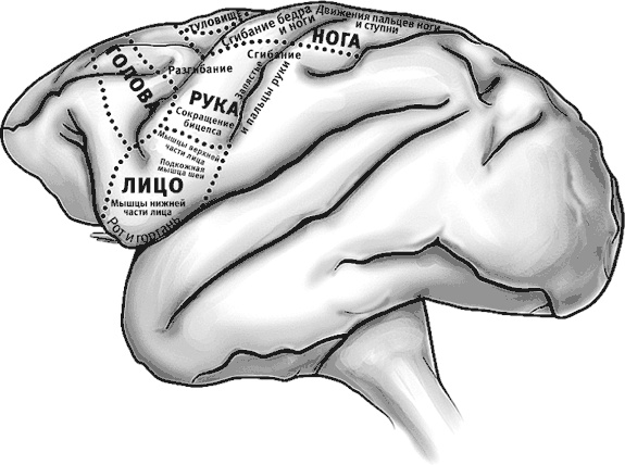 Иллюстрация к книге — Век самопознания. Поиски бессознательного в искусстве и науке с начала XX века до наших дней [i_011.jpg]