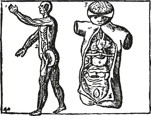 Иллюстрация к книге — Век самопознания. Поиски бессознательного в искусстве и науке с начала XX века до наших дней [i_027.jpg]