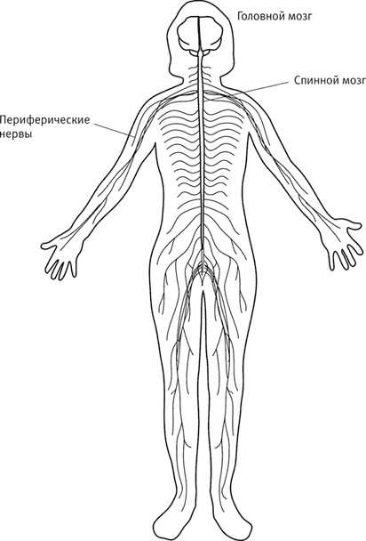 Иллюстрация к книге — Век самопознания. Поиски бессознательного в искусстве и науке с начала XX века до наших дней [i_051.jpg]