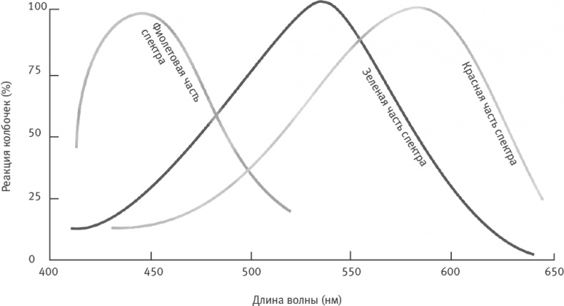 Иллюстрация к книге — Век самопознания. Поиски бессознательного в искусстве и науке с начала XX века до наших дней [i_057.jpg]
