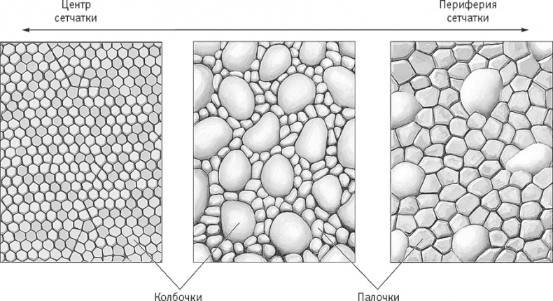 Иллюстрация к книге — Век самопознания. Поиски бессознательного в искусстве и науке с начала XX века до наших дней [i_059.jpg]