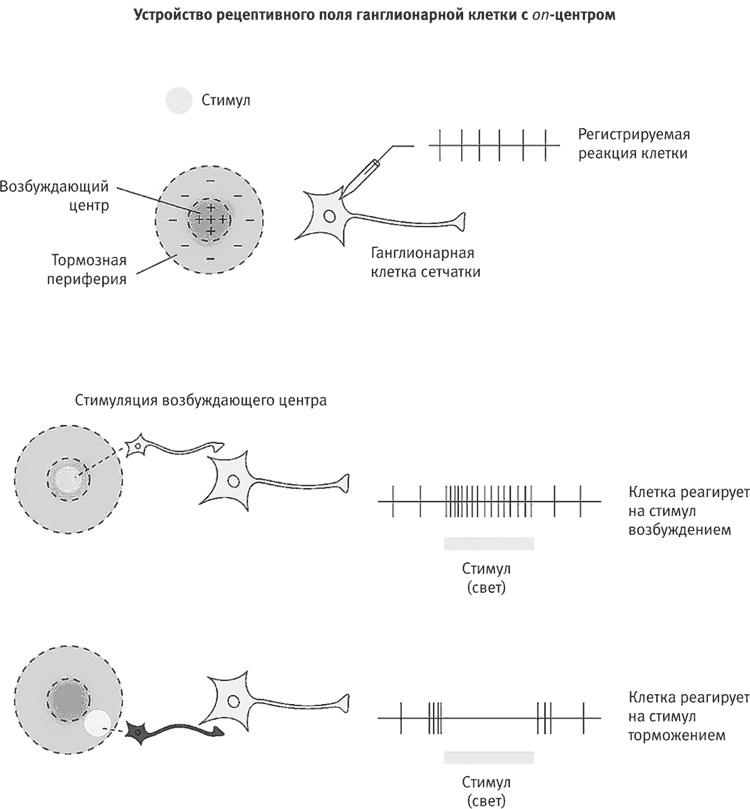 Иллюстрация к книге — Век самопознания. Поиски бессознательного в искусстве и науке с начала XX века до наших дней [i_063.jpg]