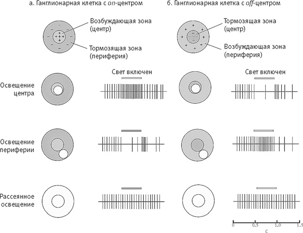 Иллюстрация к книге — Век самопознания. Поиски бессознательного в искусстве и науке с начала XX века до наших дней [i_064.jpg]