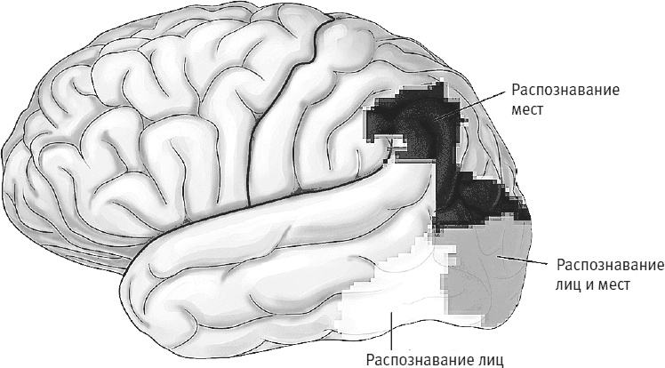 Иллюстрация к книге — Век самопознания. Поиски бессознательного в искусстве и науке с начала XX века до наших дней [i_082.jpg]