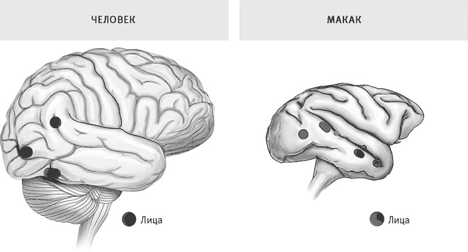 Иллюстрация к книге — Век самопознания. Поиски бессознательного в искусстве и науке с начала XX века до наших дней [i_083.jpg]