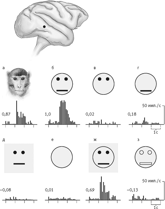 Иллюстрация к книге — Век самопознания. Поиски бессознательного в искусстве и науке с начала XX века до наших дней [i_084.jpg]