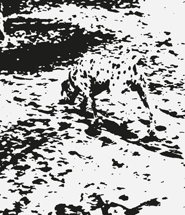 Иллюстрация к книге — Век самопознания. Поиски бессознательного в искусстве и науке с начала XX века до наших дней [i_085.jpg]