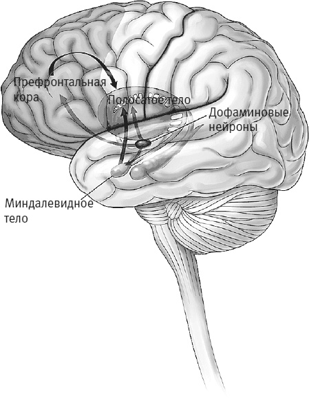 Иллюстрация к книге — Век самопознания. Поиски бессознательного в искусстве и науке с начала XX века до наших дней [i_094.jpg]