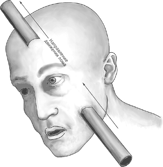 Иллюстрация к книге — Век самопознания. Поиски бессознательного в искусстве и науке с начала XX века до наших дней [i_096.jpg]