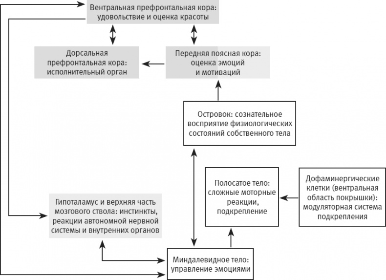 Иллюстрация к книге — Век самопознания. Поиски бессознательного в искусстве и науке с начала XX века до наших дней [i_100.jpg]
