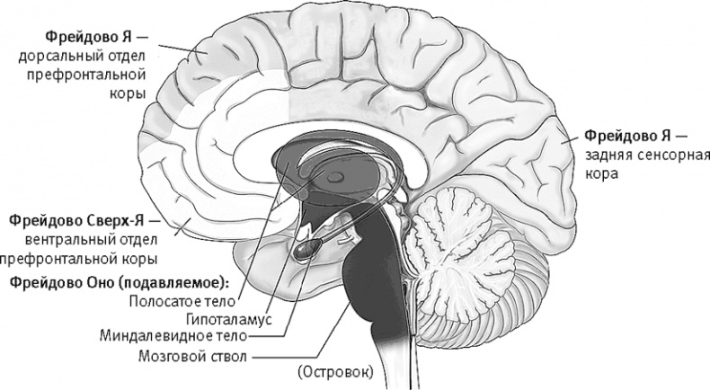 Иллюстрация к книге — Век самопознания. Поиски бессознательного в искусстве и науке с начала XX века до наших дней [i_102.jpg]