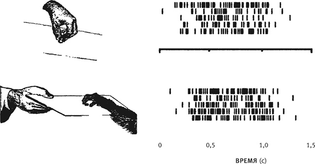 Иллюстрация к книге — Век самопознания. Поиски бессознательного в искусстве и науке с начала XX века до наших дней [i_111.jpg]