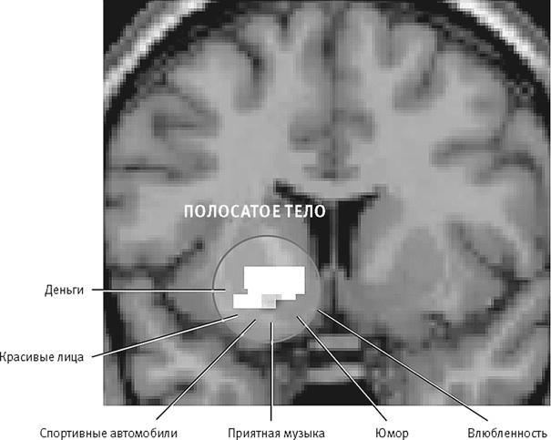 Иллюстрация к книге — Век самопознания. Поиски бессознательного в искусстве и науке с начала XX века до наших дней [i_117.jpg]