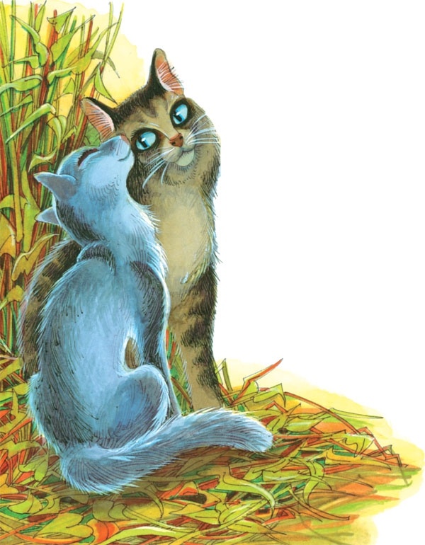 Иллюстрация к книге — Закон племен [pic_10.jpg]