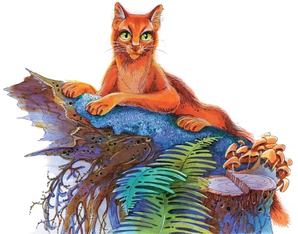 Иллюстрация к книге — Закон племен [pic_100.jpg]