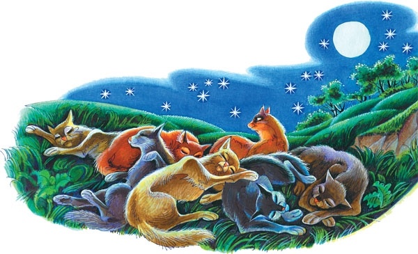 Иллюстрация к книге — Закон племен [pic_104.jpg]