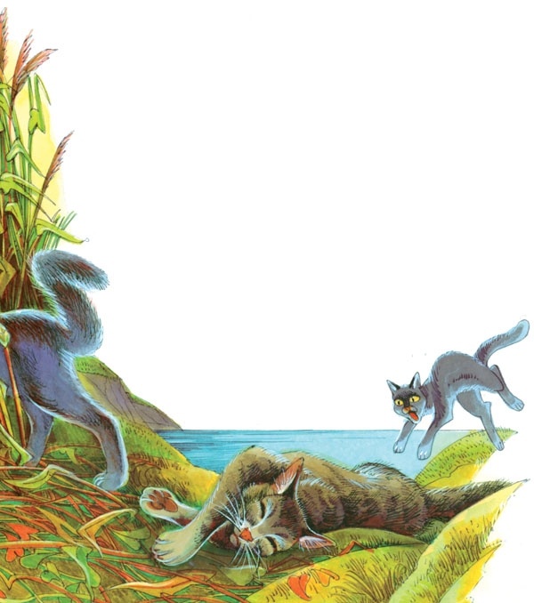 Иллюстрация к книге — Закон племен [pic_12.jpg]