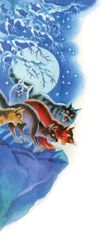 Иллюстрация к книге — Закон племен [pic_16.jpg]