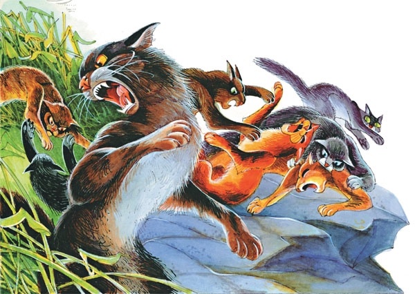 Иллюстрация к книге — Закон племен [pic_24.jpg]