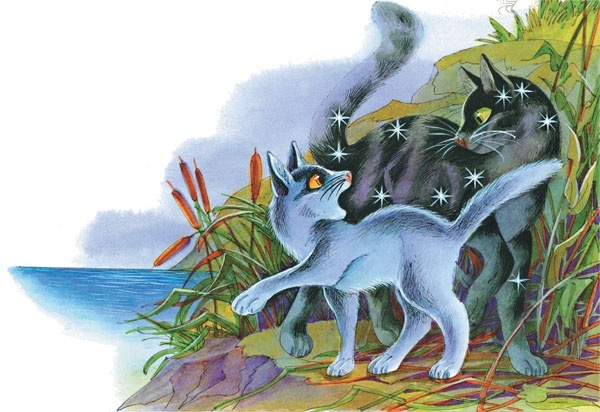 Иллюстрация к книге — Закон племен [pic_25.jpg]