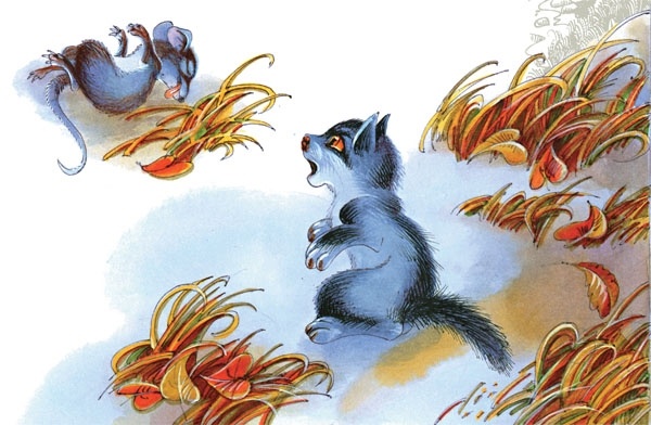 Иллюстрация к книге — Закон племен [pic_31.jpg]