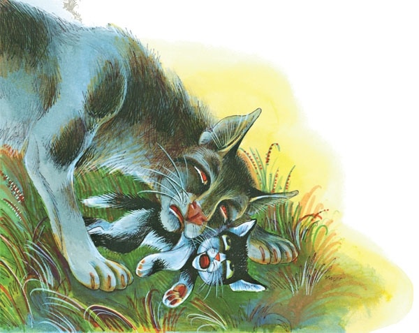 Иллюстрация к книге — Закон племен [pic_35.jpg]