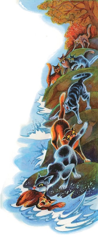 Иллюстрация к книге — Закон племен [pic_50.jpg]