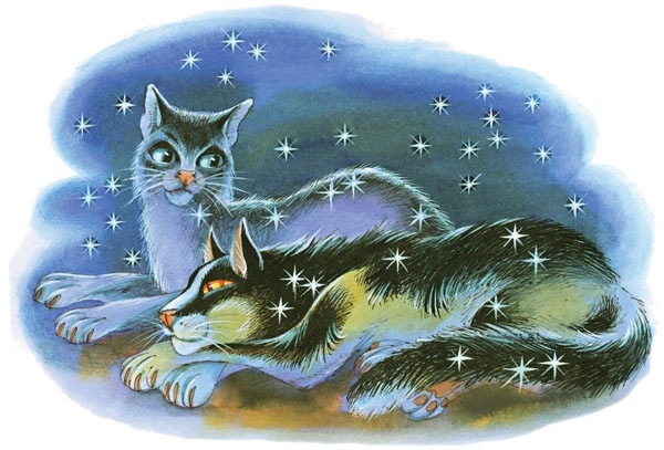 Иллюстрация к книге — Закон племен [pic_52.jpg]