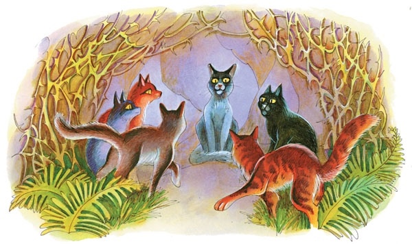 Иллюстрация к книге — Закон племен [pic_6.jpg]