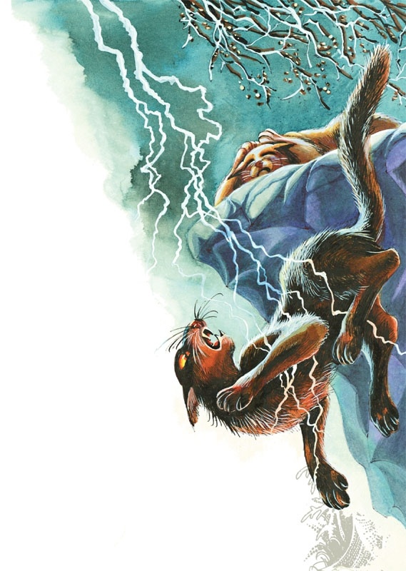 Иллюстрация к книге — Закон племен [pic_61.jpg]