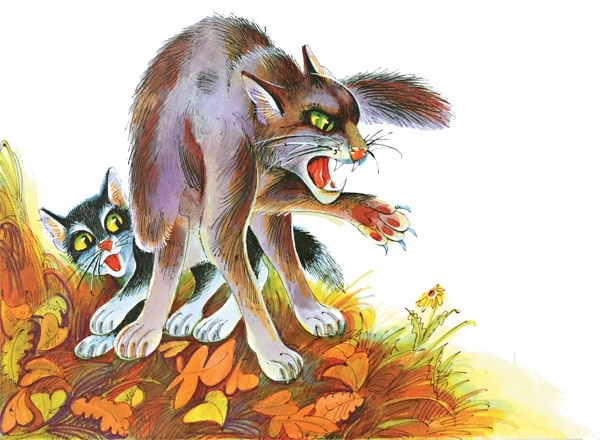 Иллюстрация к книге — Закон племен [pic_65.jpg]