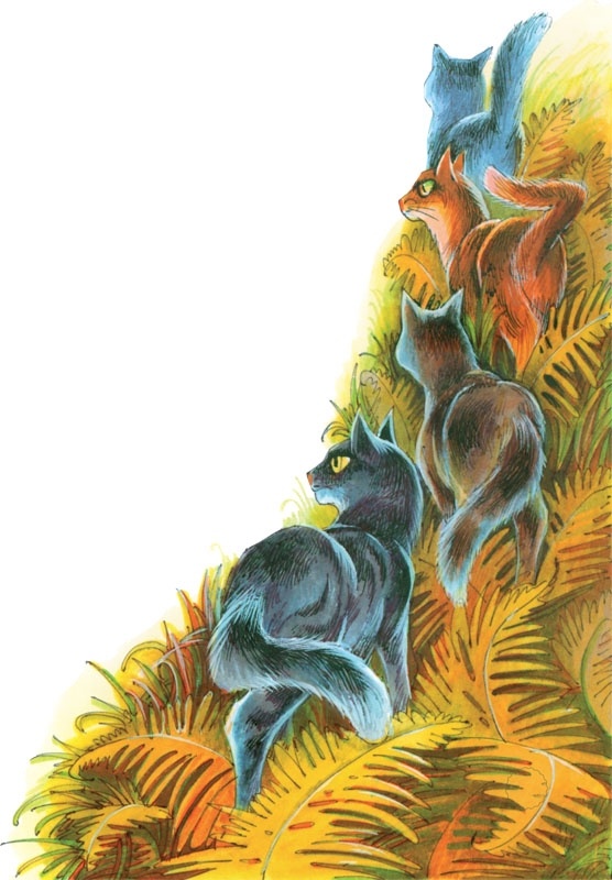 Иллюстрация к книге — Закон племен [pic_69.jpg]