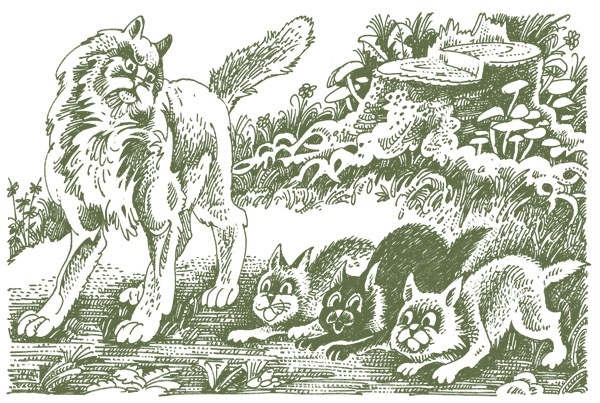 Иллюстрация к книге — Закон племен [pic_71.jpg]