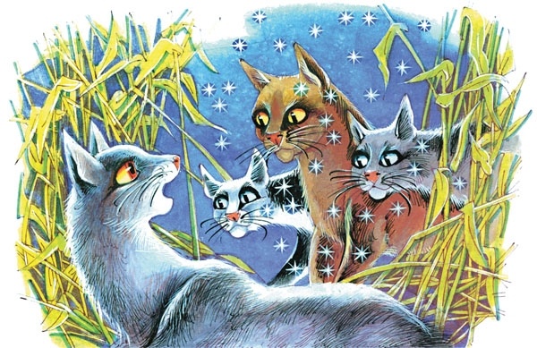 Иллюстрация к книге — Закон племен [pic_77.jpg]