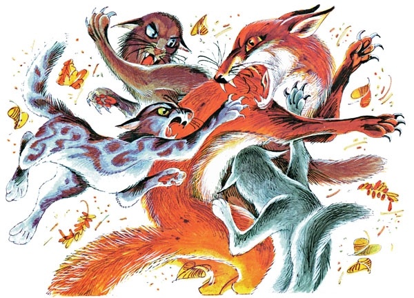 Иллюстрация к книге — Закон племен [pic_79.jpg]