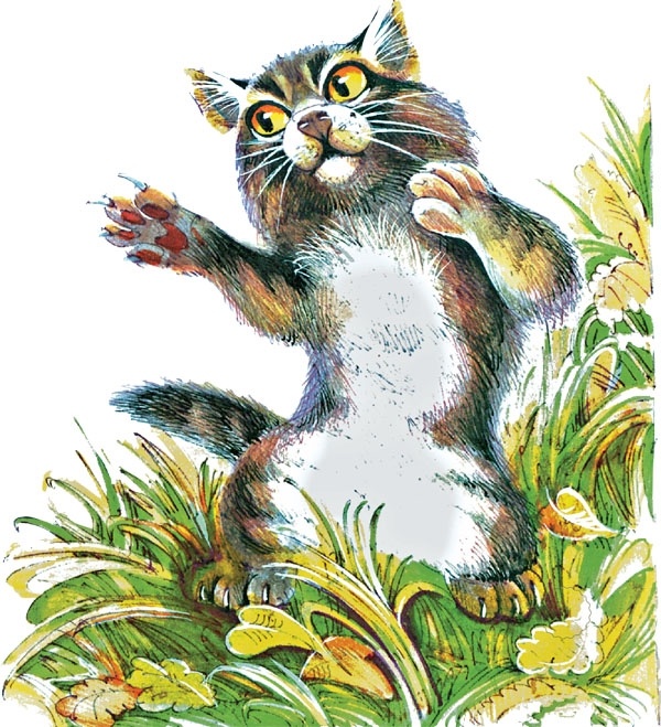 Иллюстрация к книге — Закон племен [pic_80.jpg]