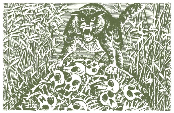 Иллюстрация к книге — Закон племен [pic_81.jpg]