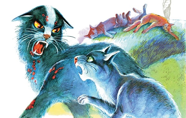 Иллюстрация к книге — Закон племен [pic_91.jpg]