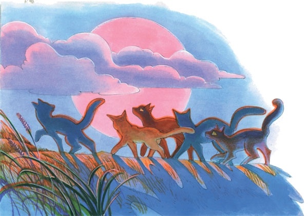 Иллюстрация к книге — Закон племен [pic_92.jpg]